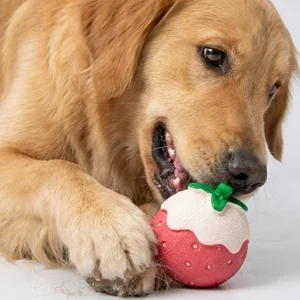 Skatrs Strawberry Latex Chew Toy for Dogs (Pink)