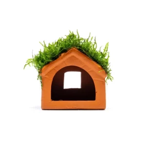Aquarium Moss on Clay House