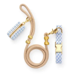 Sky Blue Gingham Collar Walk Set