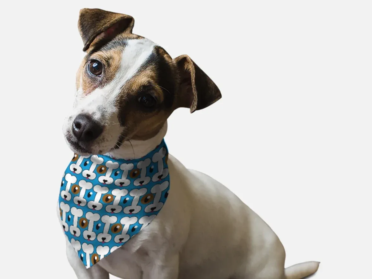 Peek-A-Bone Dog Bandana by BanDoggie