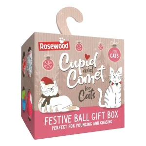 Festive Ball Gift Box