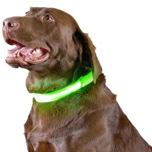 Furhaven LED Safety Pet Collar - Green (Extra Large)