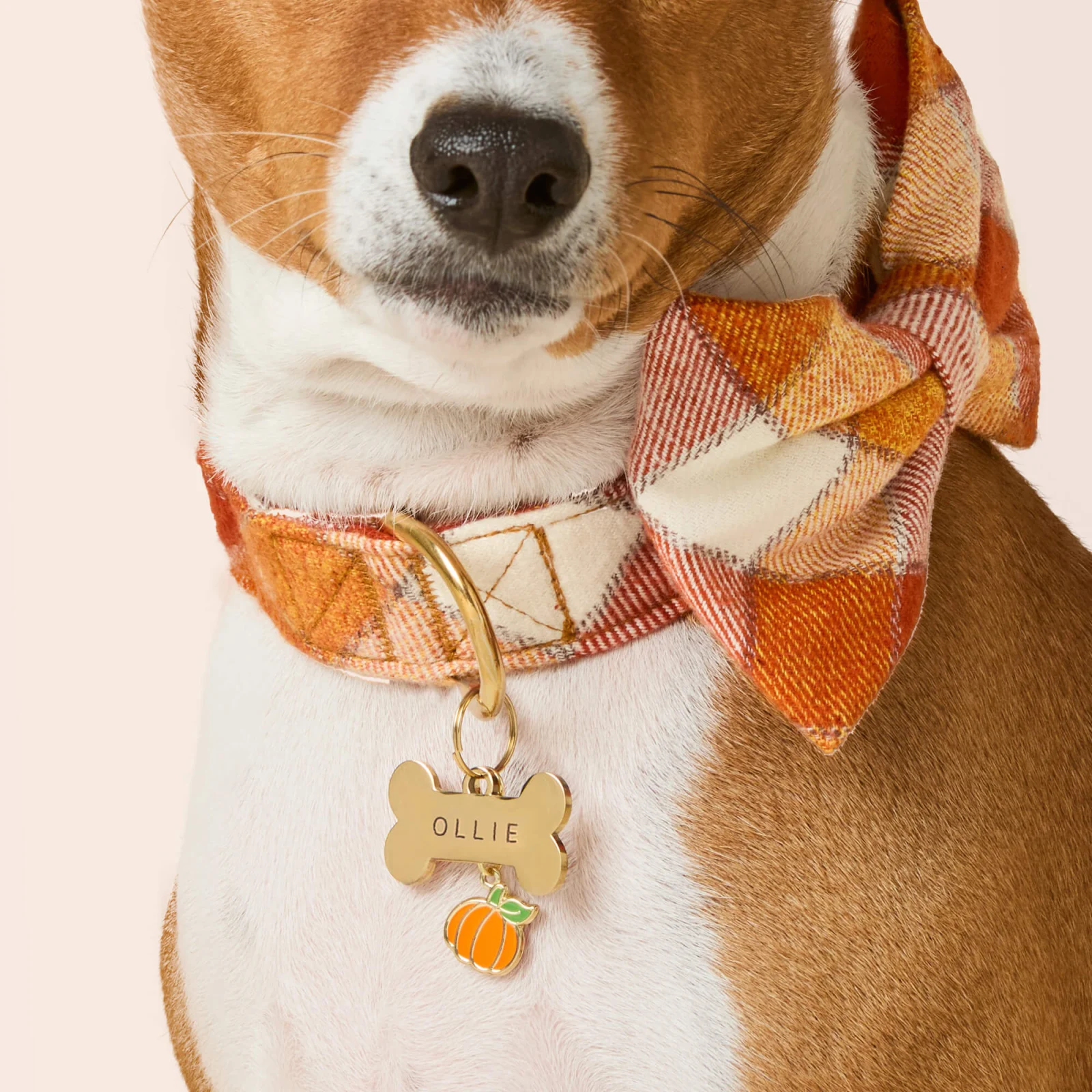 Pumpkin Collar Charm - Image 2
