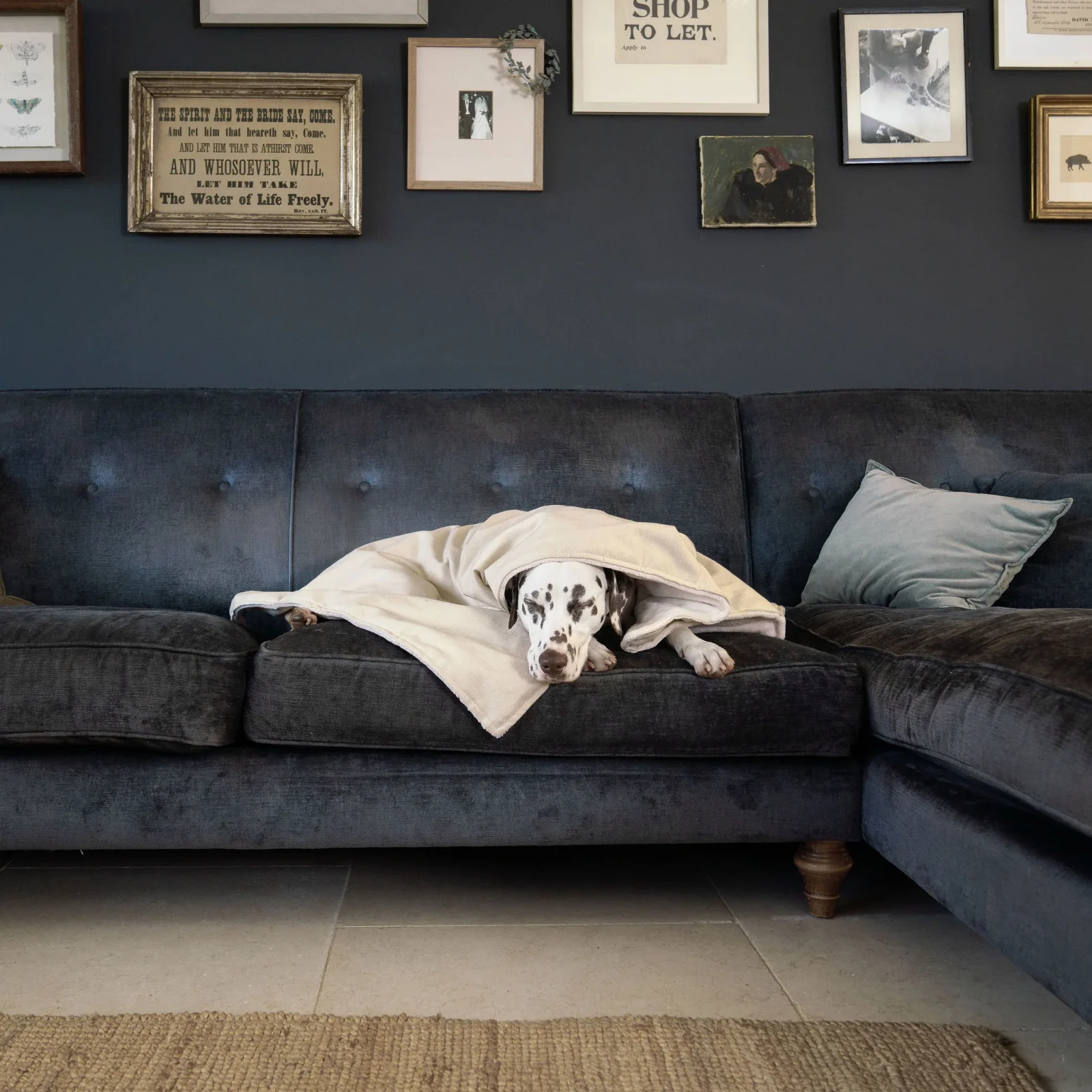 Dog & Puppy Blanket in Savanna Bone by Lords & Labradors - Image 2