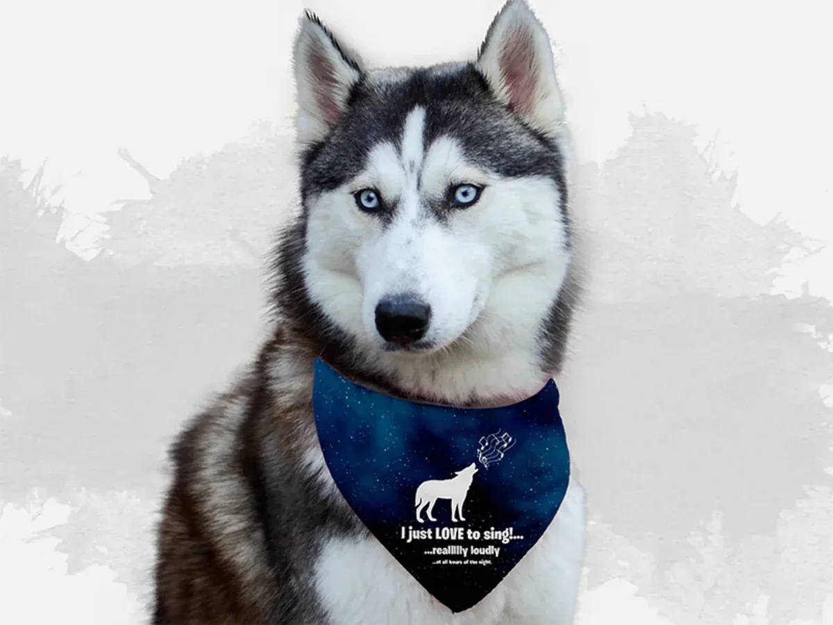 BanDoggie Derp! Dog Bandana - Soft Microfiber, Made in USA
