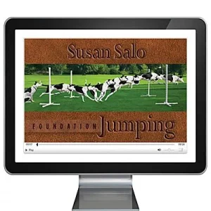 Clean Run Foundation Jumping