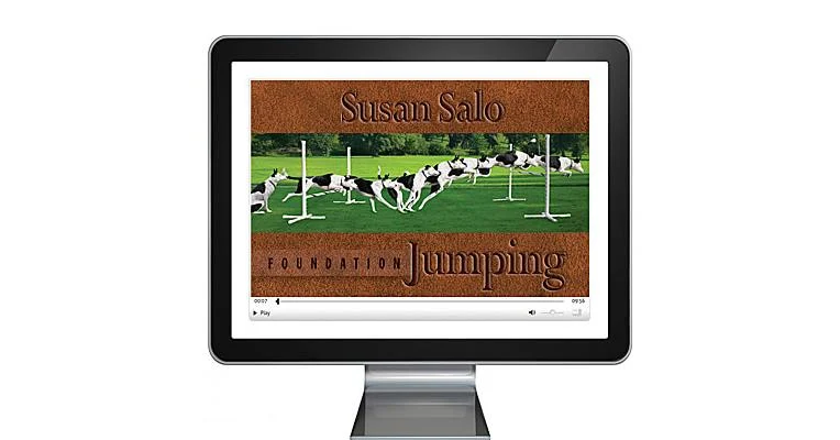 Foundation Jumping