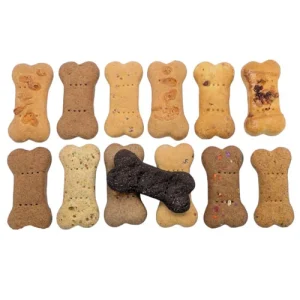 Baker's Dozen Gourmet Biscuit Sampler - Buy 12 get 1 Free!