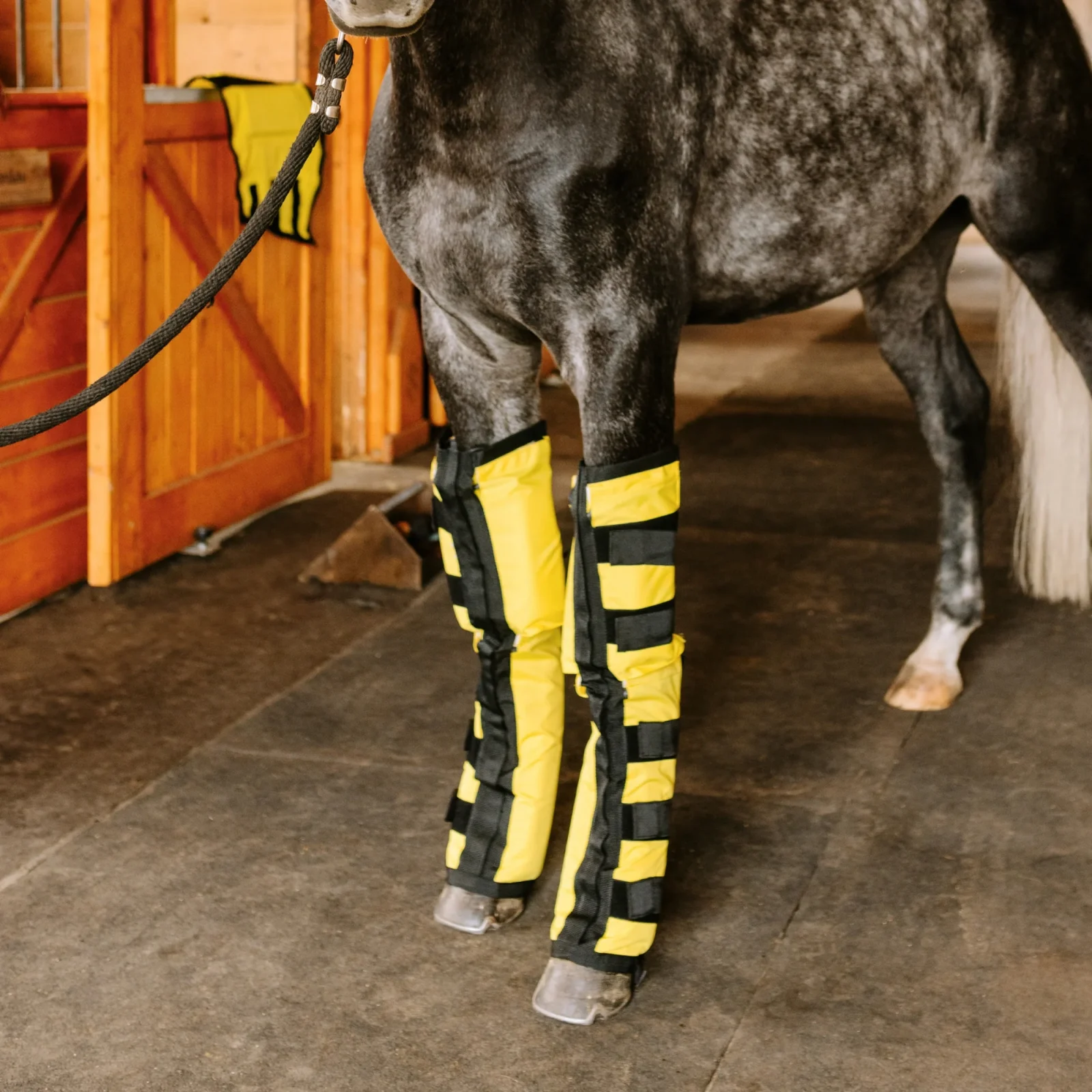 Equine Far Infrared Heating Leggings - High Performance by Thermotex - Image 2