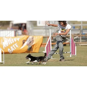 Clean Run Hippie Handling