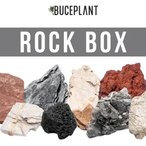 Assorted Rock Box