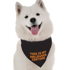 This is My Halloween Costume Dog Bandana by BanDoggie