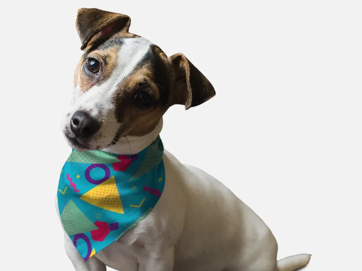 1980's Retro Style Dog Bandana by Bandoggies - Image 2