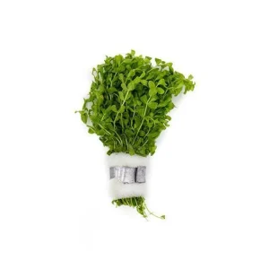 Hemianthus Micranthemoides (Pearl Weed)
