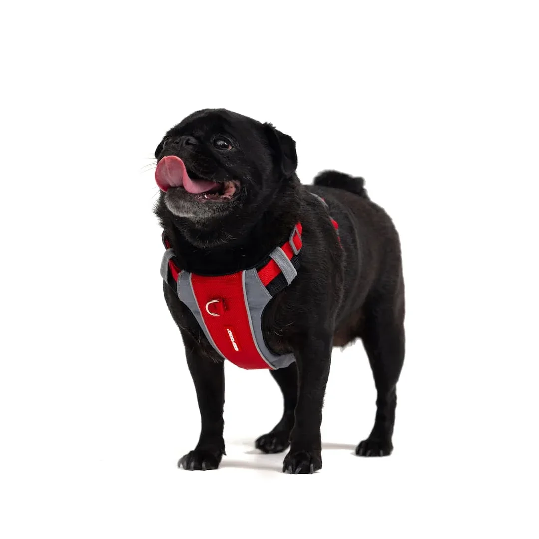 X-Link™ Dog Harness - Image 2