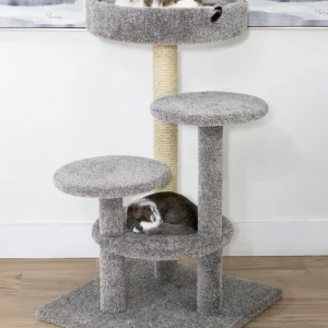 Cat Perch for Extra Large Cats
