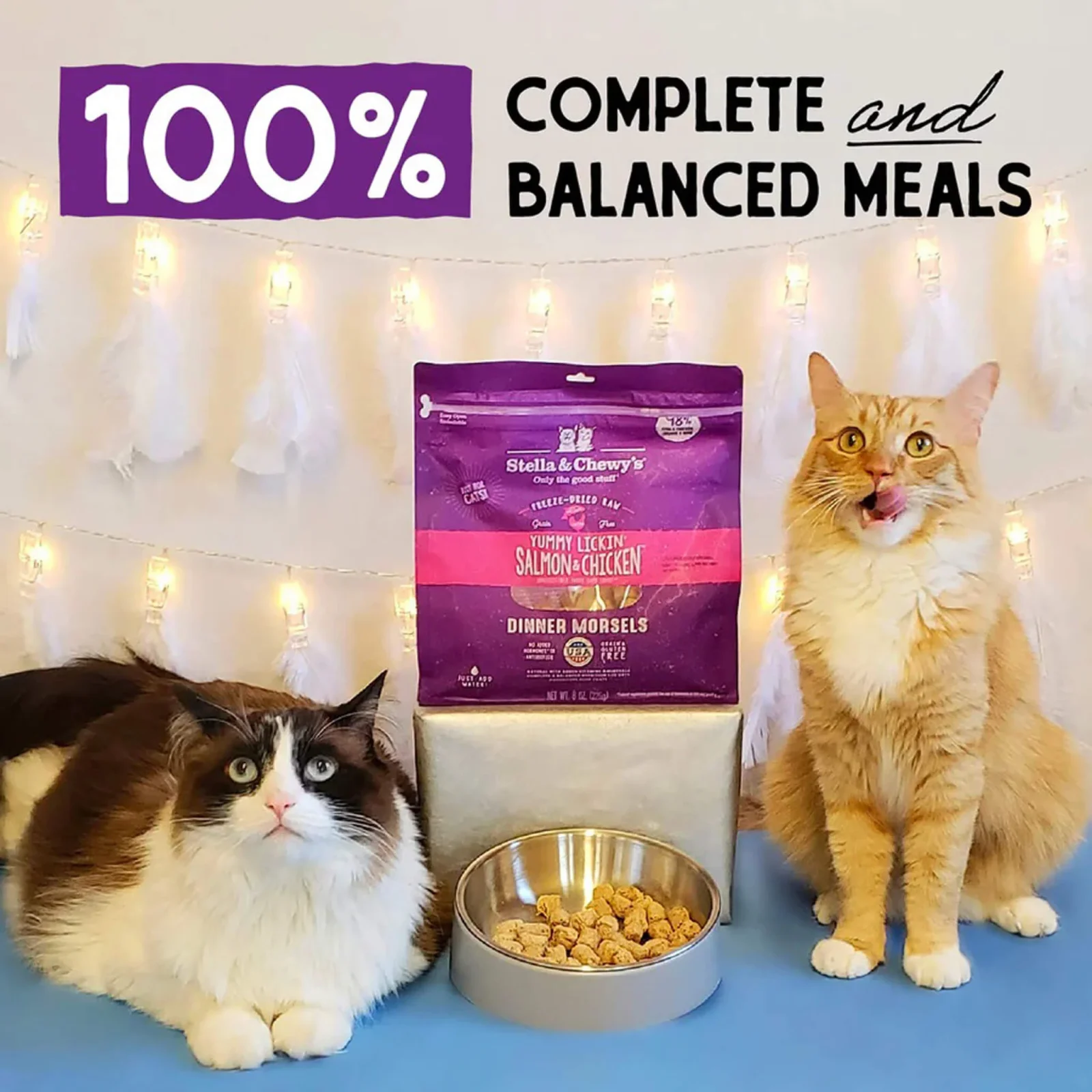 Stella & Chewy's Grain Free Freeze Dried Cat Food - Image 2