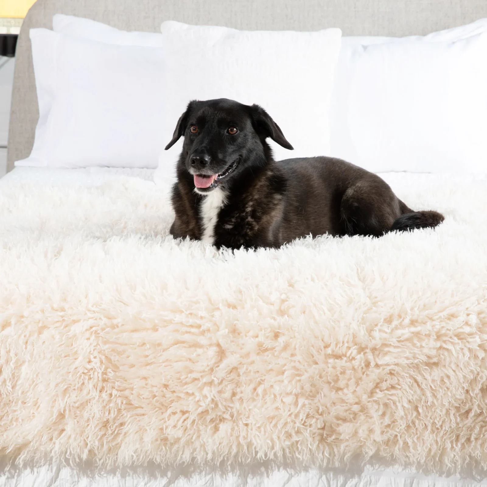 PupProtector™ Luxe Waterproof Faux Fur Blanket - Plush Sheep Ivory - Image 2