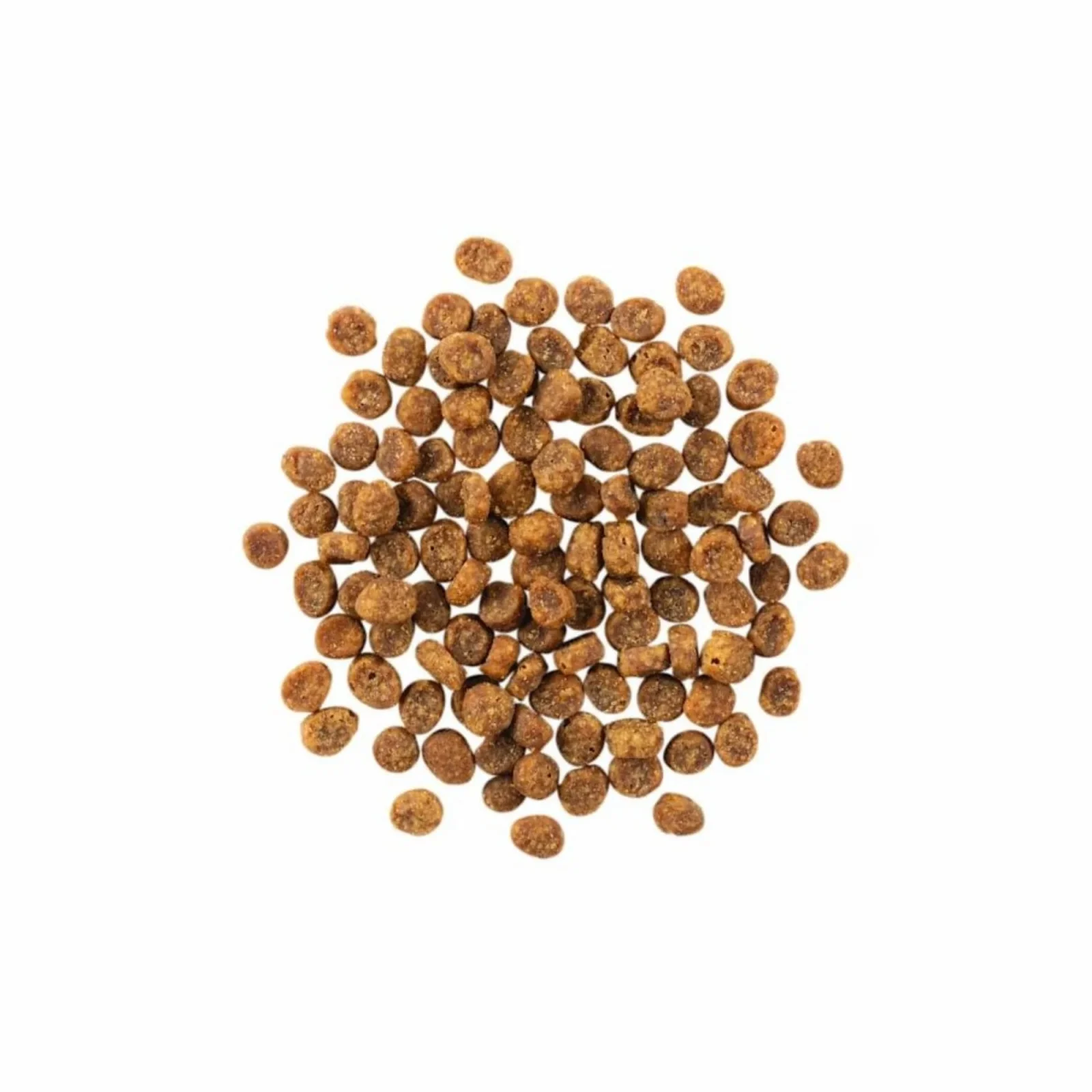 Petcurean Go! Sensitivities Limited Ingredient Dry Cat Food - Grain-Free Salmon, 3 lb - Image 2