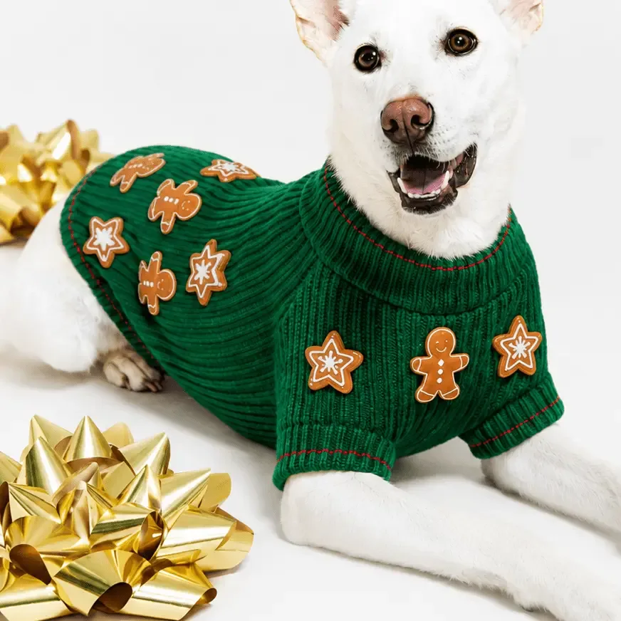 Gingerbread Cookie Dog Sweater