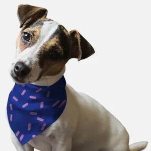 BanDoggie Sprinkles Please! Dog Bandana - Soft Microfiber Pet Bandana, Made in USA