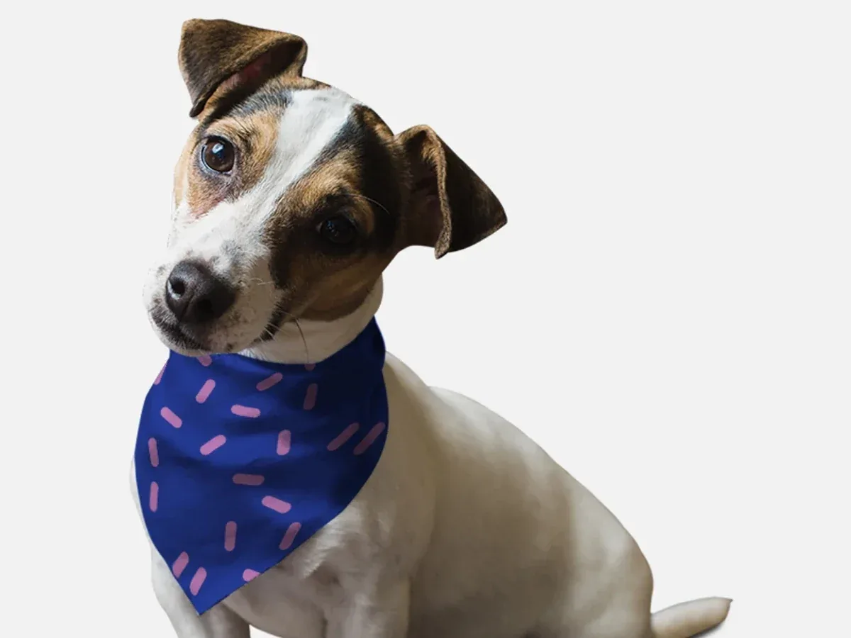 BanDoggie Sprinkles Please! Dog Bandana - Soft Microfiber Pet Bandana, Made in USA