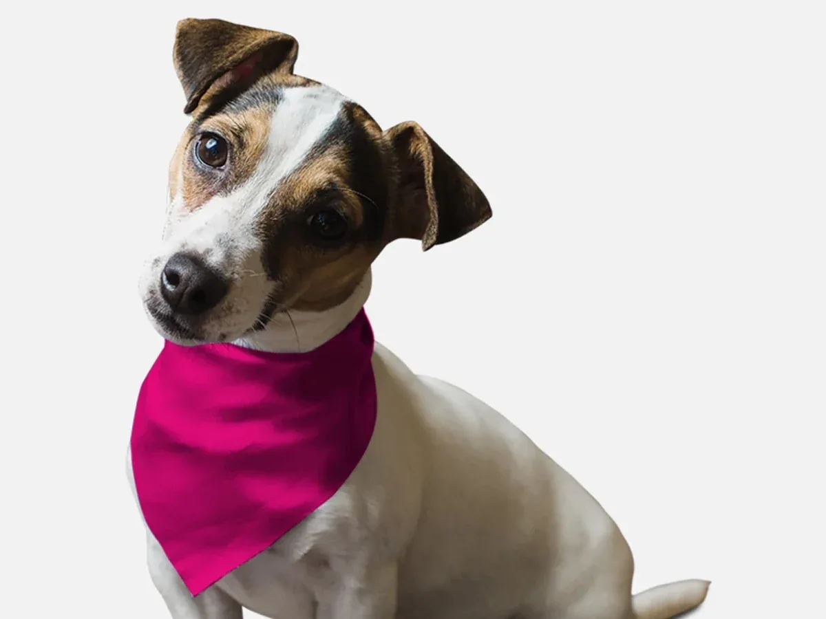BanDoggie Neon Frisbee Pink Dog Bandana - Soft Microfiber Pet Bandana - Image 2