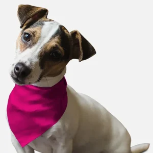 BanDoggie Neon Frisbee Pink Dog Bandana - Soft Microfiber Pet Bandana