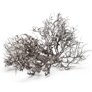Driftwood Tree Branches