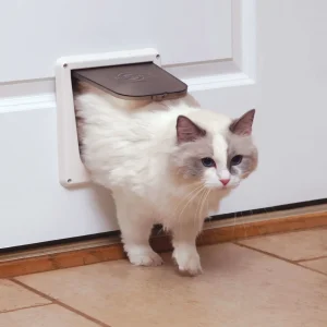Interior Cat Door - 4 Way Locking