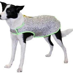 Clean Run Chillybuddy Canine Cooling Jacket