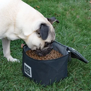 Replacement Insulated Dog Food Carriers