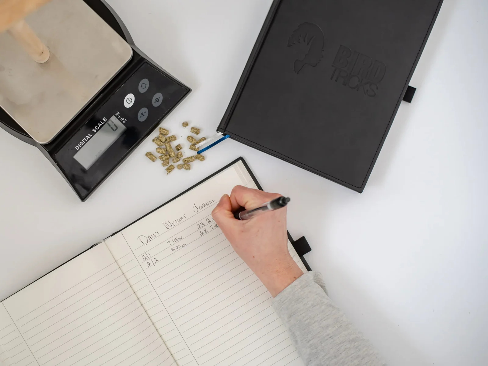 BirdTricks Notebook - Image 2