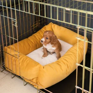 Dog Crate with Cosy & Calming Puppy Crate Bed in Saffron Velvet by Lords & Labradors