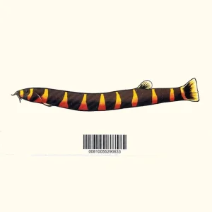 Kuhli Loach Decal Sticker