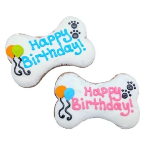 Jumbo Birthday Bone