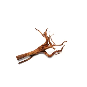 Rasamala Root