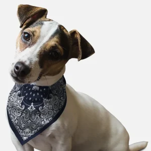 BanDoggie Navy Paisley Western Dog Bandana