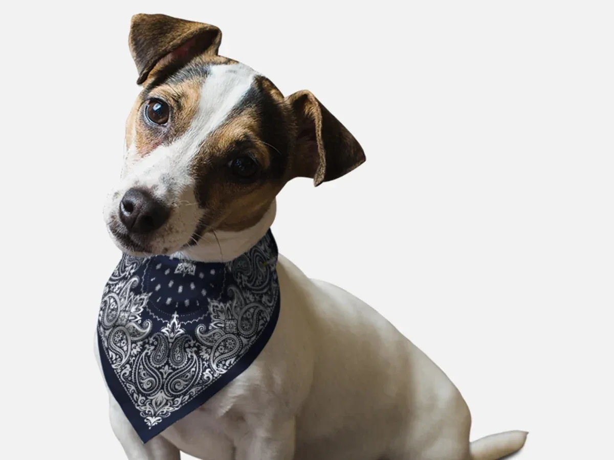 BanDoggie Navy Paisley Western Dog Bandana