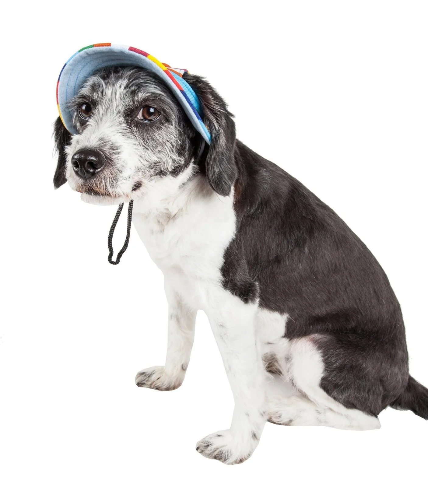 Pet Life ® 'Colorfur' UV Protectant Adjustable Fashion Canopy Brimmed Dog Hat Cap - Image 2