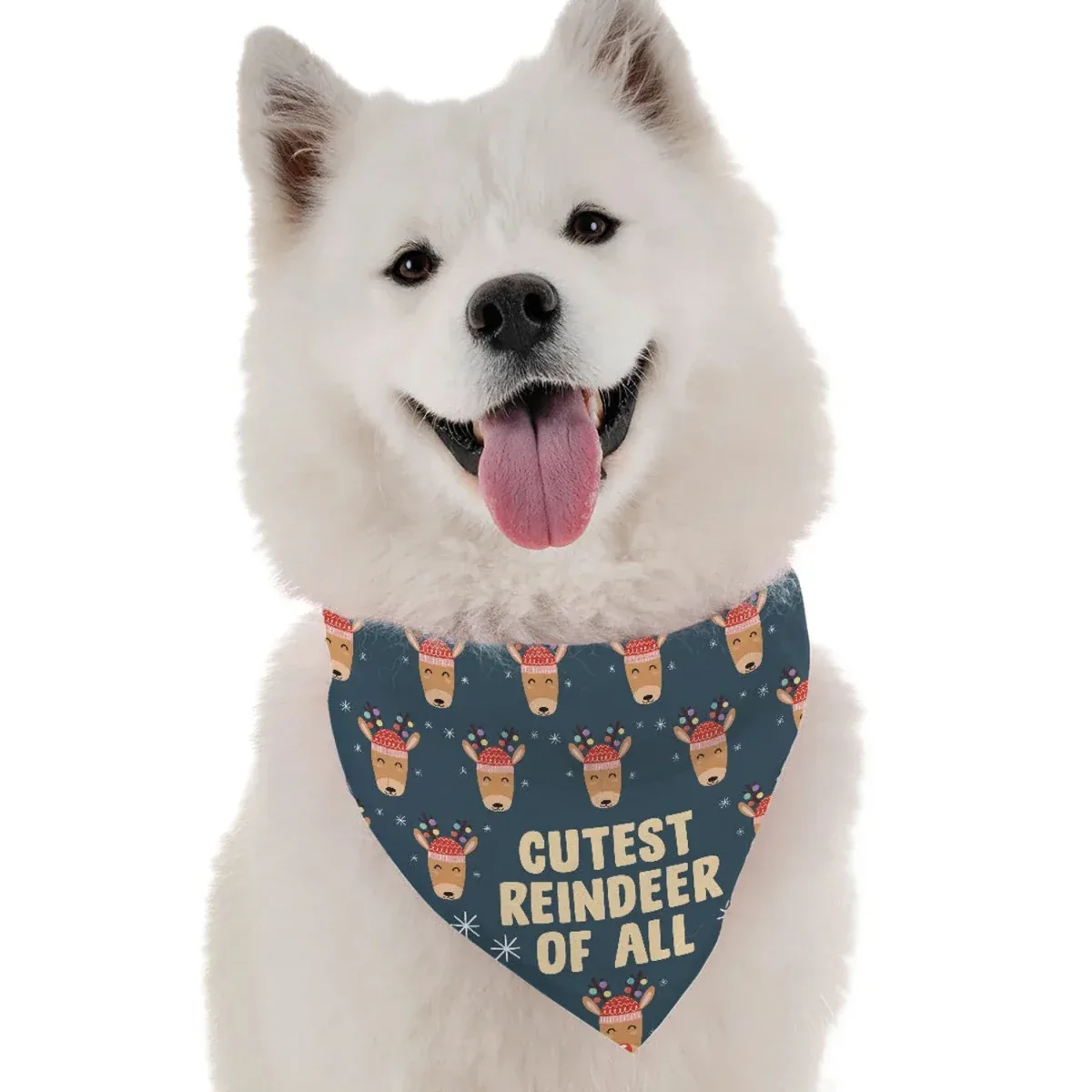 Cutest Reindeer of All Dog Bandana by BanDoggie
