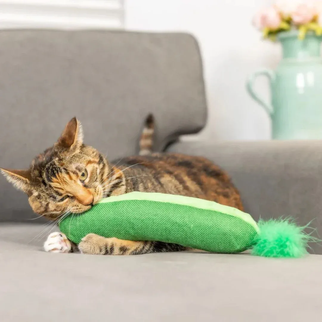 H&K C Kicker Pickle Organic Catnip Plush Crinkle - Image 2