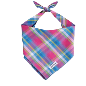 Colorful Plaid Bandana, Rainbow Dog Bandana