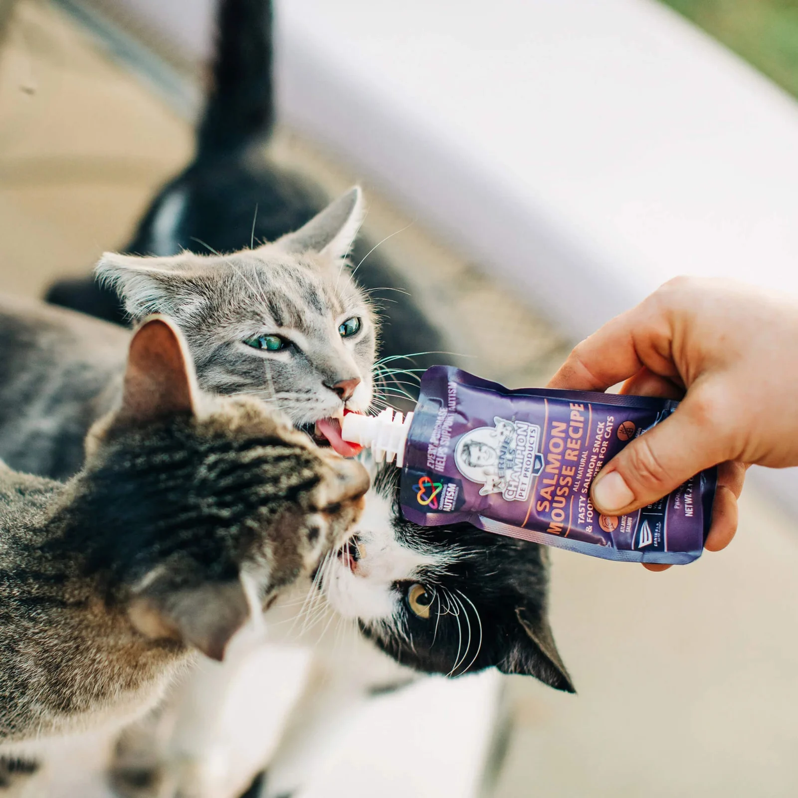 Ernie's Positively Good Salmon Mousse Cat Treat - Image 2
