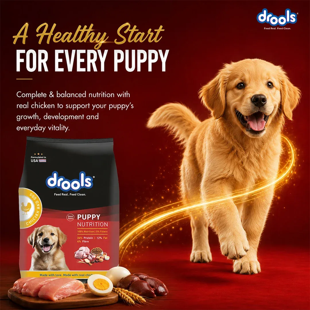 Drools Chicken and Egg Puppy Dry Dog Food with Free Creamy Treat Pouch - Image 2