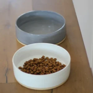 Ceramic Dog Bowl ~ handmade