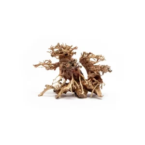 Double Bonsai Tree Aquarium Driftwood - Extra Small