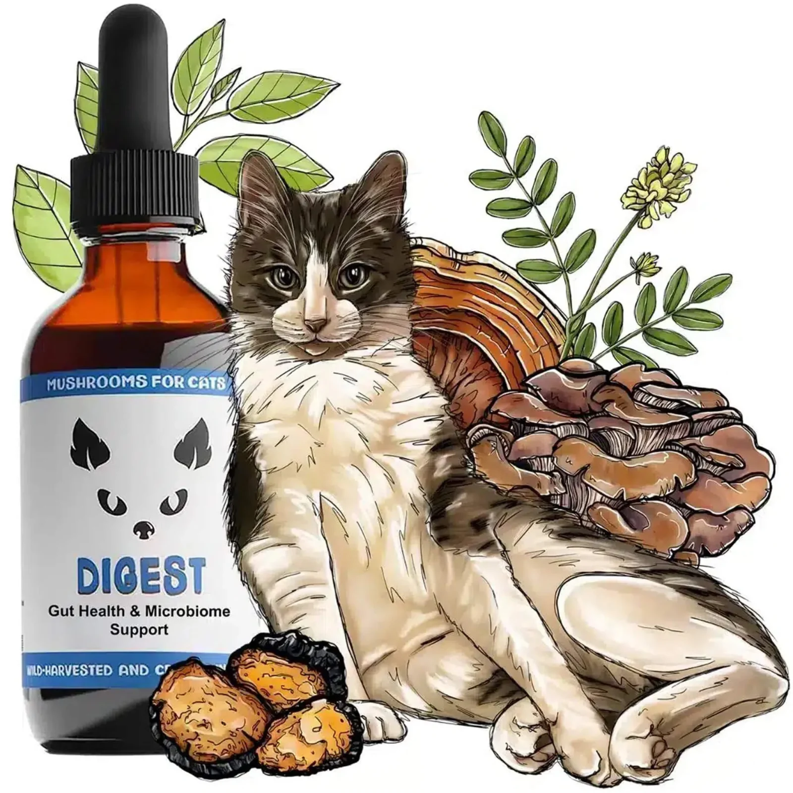 MycoDog Digest Liquid Gut Health Supplement for Cats - Image 2