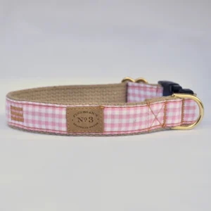 Pink Gingham Lead