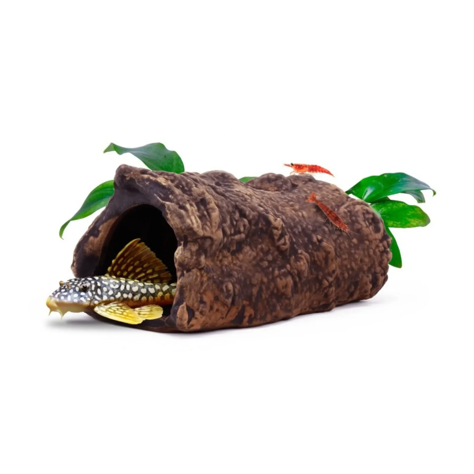 aquavitro Ceramic Hides Aquatic Ornament L3